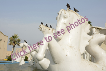 Click here to see photographs of "Les Place des Marte", Algiers, Algeria