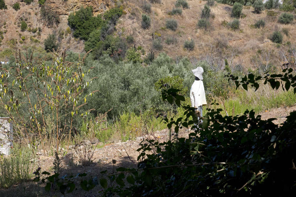 Greece-Crete-ChaniaNomos-BotanicalPark-Gardens-ofCrete