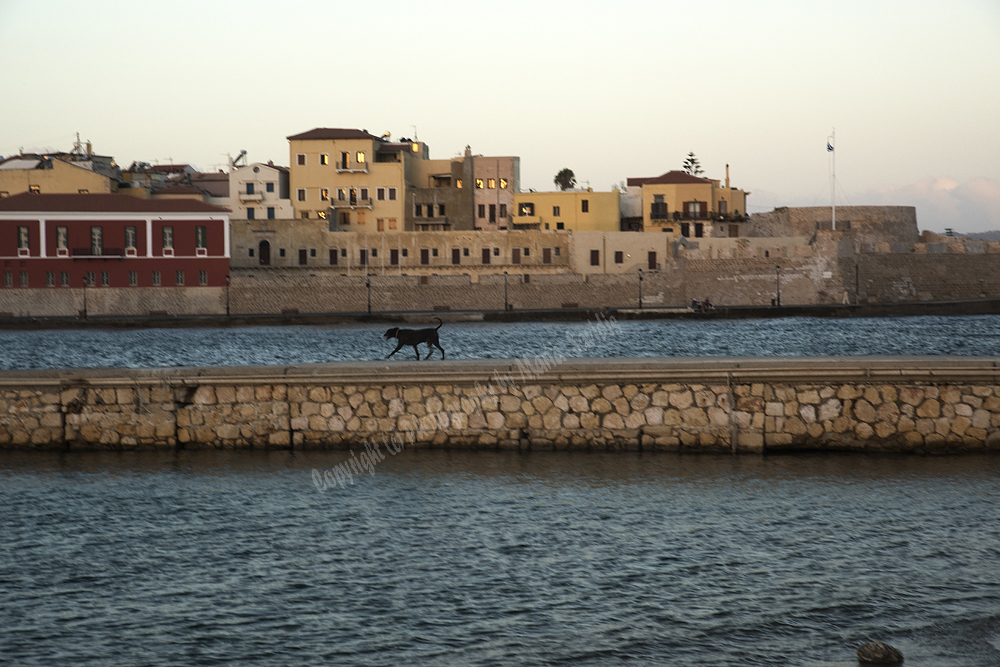 Chania Town