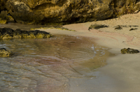 Elefonisi Beach, Chania Nomos, Crete, Greece 2017-70D-9304