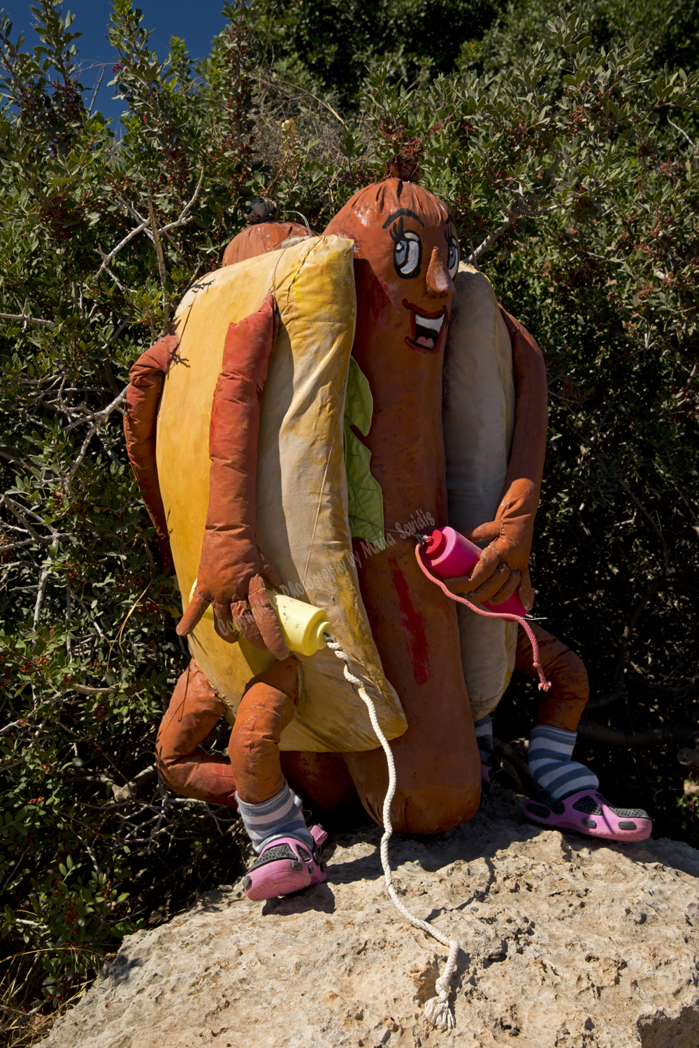 Elefonisi, Chania Nomos, Crete, Greece, 2017