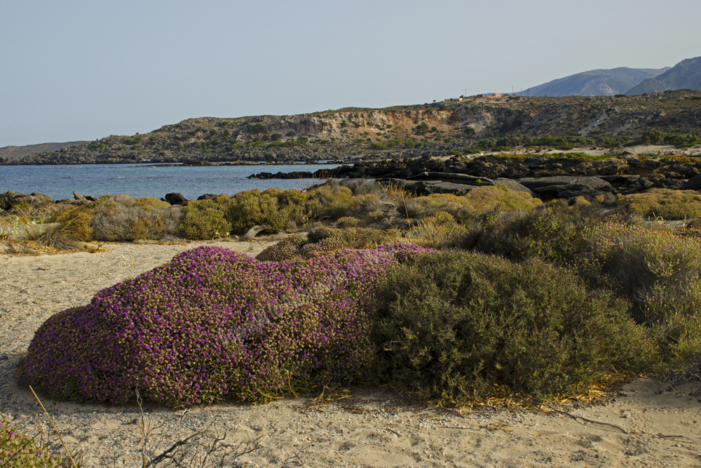 Elefonisi Beach, Chania Nomos, Crete, Greece, 2017