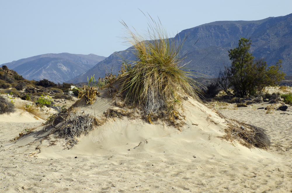 Elefonisi Beach, Chania Nomos, Crete, Greece, 2017