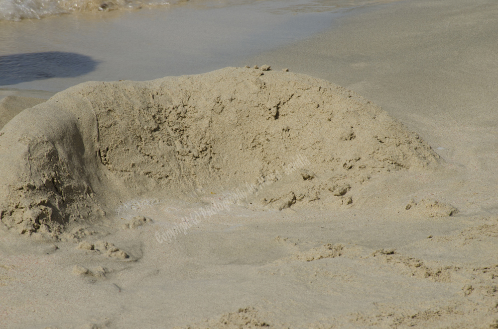 Elefonisi Beach, Chania Nomos, Crete, Greece, 2017