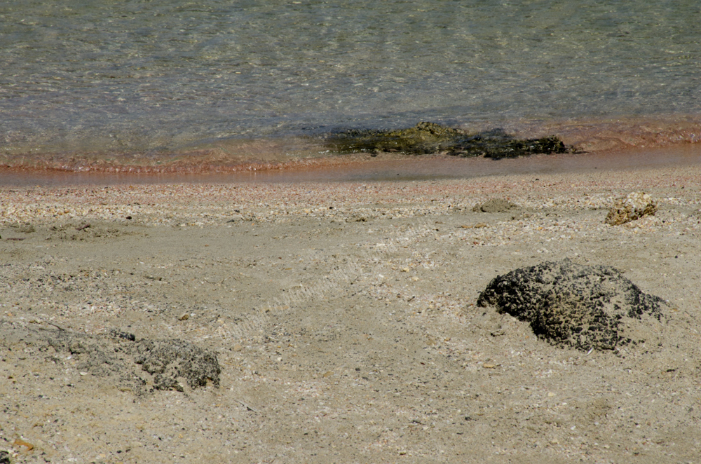 Elefonisi Beach, Chania Nomos, Crete, Greece, 2017