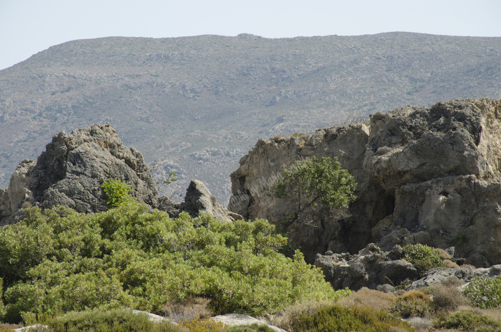 Elefonisi Beach, Chania Nomos, Crete, Greece, 2017
