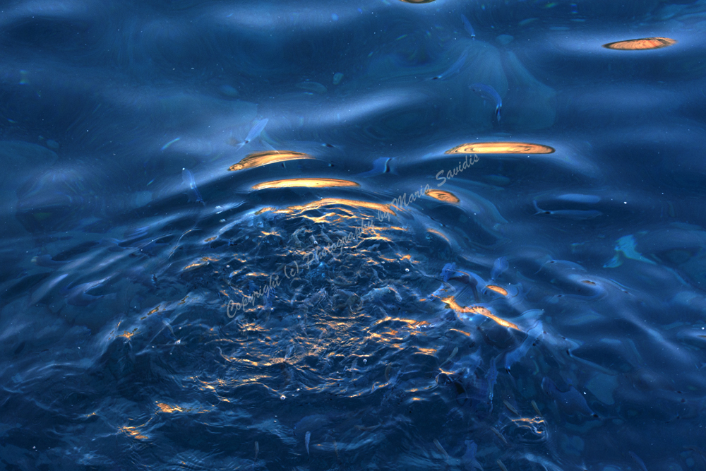 Samaria Gorge, Chania Nomos, Crete, Greece 2017