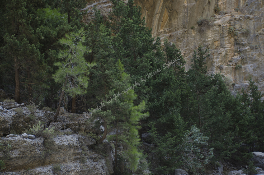 Samaria Gorge, Chania Nomos, Crete, Greece 2017