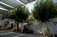 Topolia, Chania Nomos, Crete, Greece 2017-8DS-5233