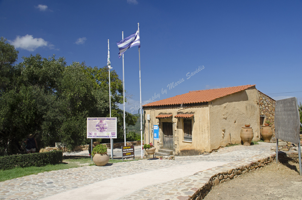 Vouves, Chania Nomos, Crete, Greece 2017