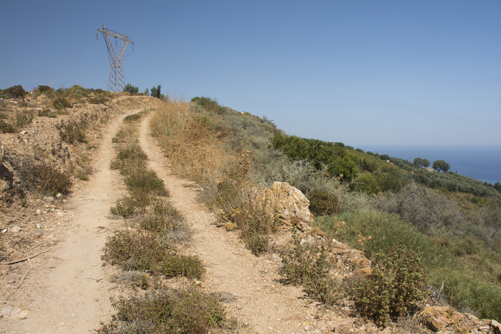 Almiros Wetlands, Iraklion Region, Crete, Greece