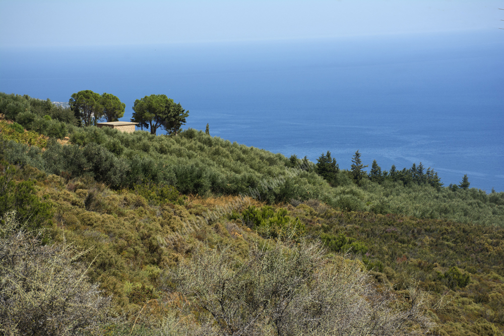 Almiros Wetlands, Iraklion Region, Crete, Greece