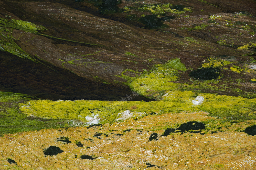 Almiros Wetlands, Iraklion Region, Crete, Greece