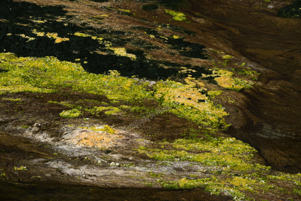Almiros Wetlands, Iraklion Region, Crete, Greece