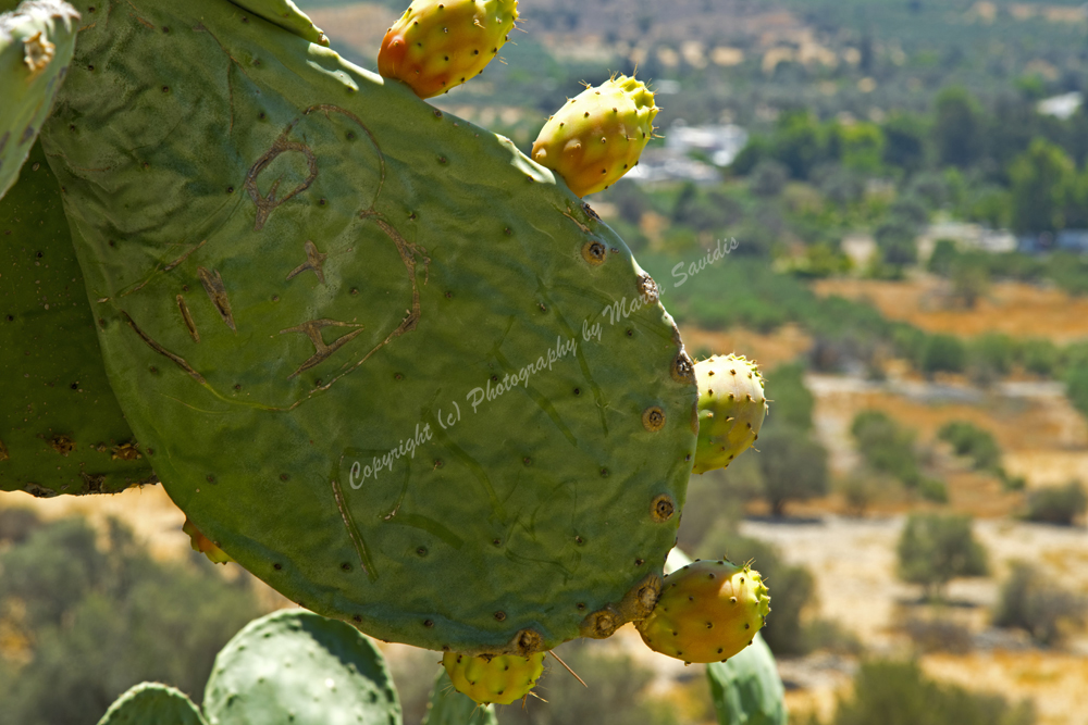 Faistos, Iraklion Nomos, Crete, Greece 2017