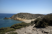 Vai, Lassithi Nomos, Crete, Greece 2017-8DS-4454