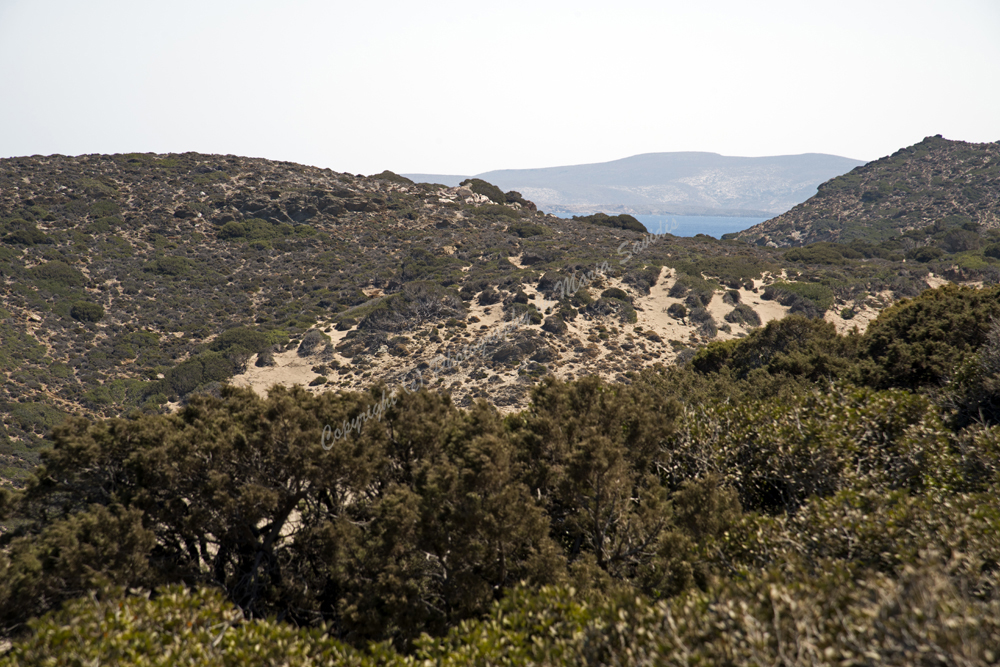 Vai, Lassithi Nomos, Crete, Greece 2017