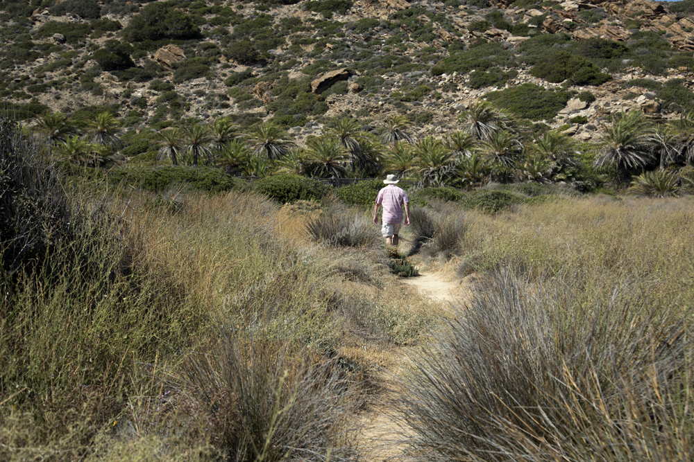 Vai, Lassithi Nomos, Crete, Greece 2017