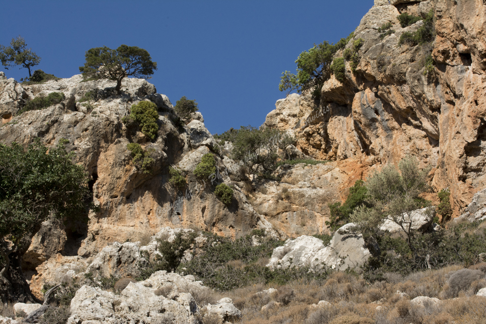 Zakros, Lassithi Nomos, Crete, Greece, 2017
