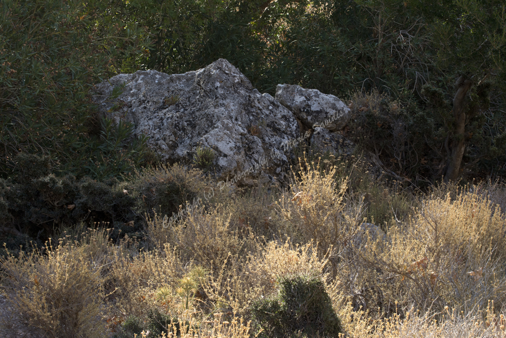 Zakros, Lassithi Nomos, Crete, Greece, 2017