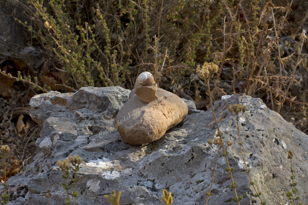 Zakros, Lassithi Nomos, Crete, Greece, 2017