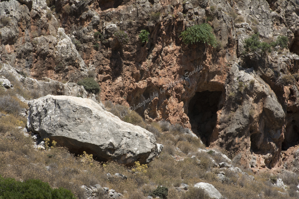 Zakros, Lassithi Nomos, Crete, Greece, 2017