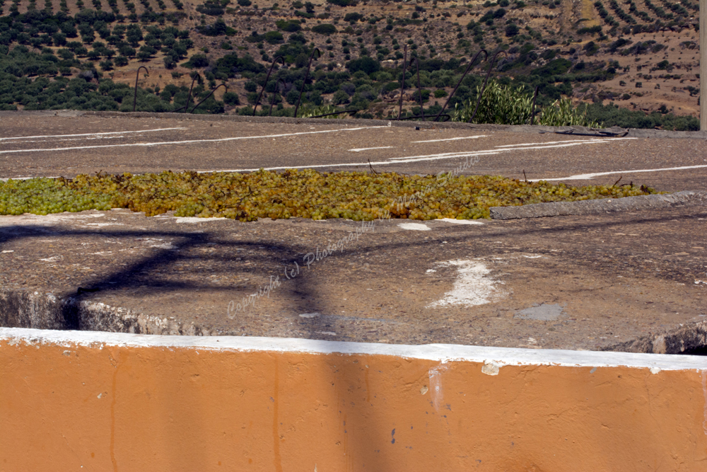 Zakros, Lassithi Nomos, Crete, Greece, 2017