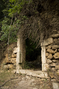 Mili Gorge, Rethimnos Nomos, Crete, Greece 2017-8DS-5046