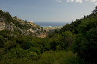 Mili Gorge, Rethimnos Nomos, Crete, Greece 2017-8DS-5057