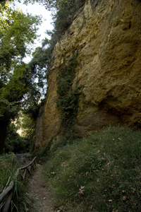 Mili Gorge, Rethimnos Nomos, Crete, Greece 2017-8DS-5094