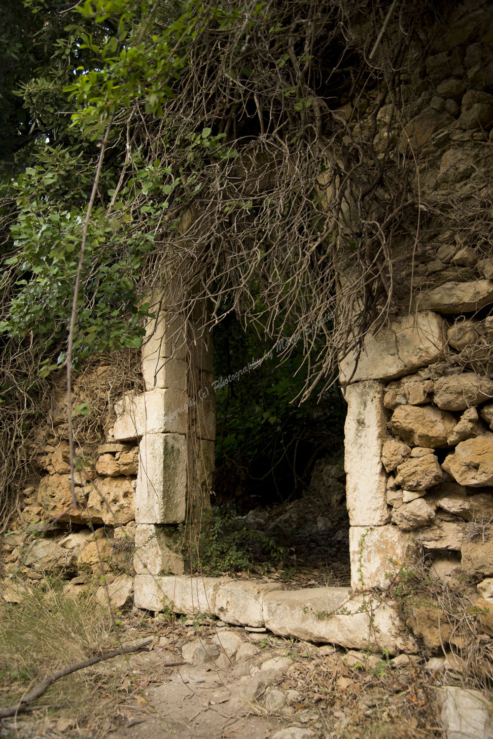 Mili Gorge, Rethimno Nomos, Crete, Greece