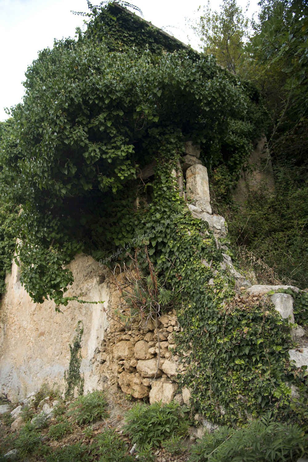 Mili Gorge, Rethimno Nomos, Crete, Greece