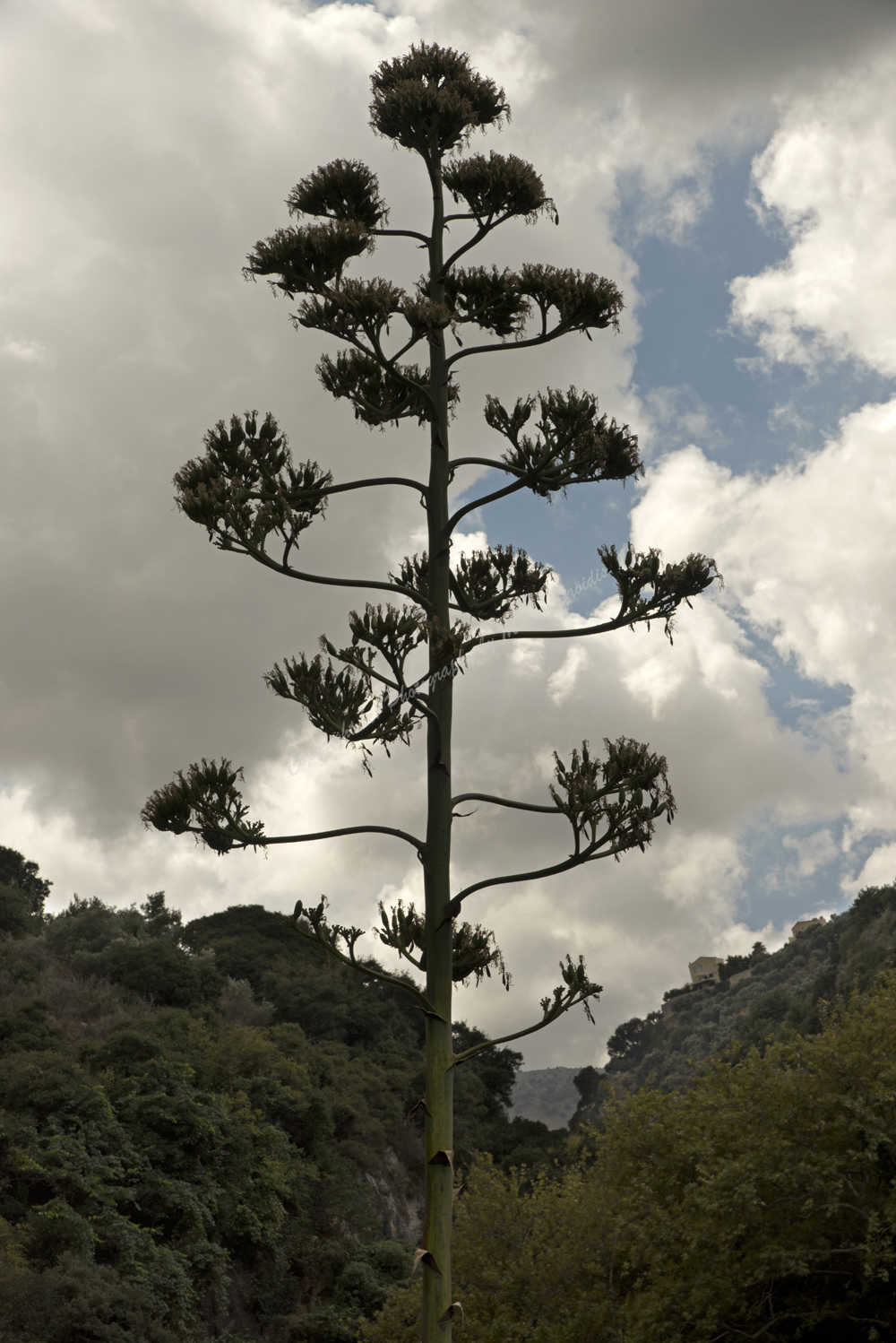 Mili Gorge, Rethimno Nomos, Crete, Greece