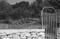 Tinos-515652-2002-004