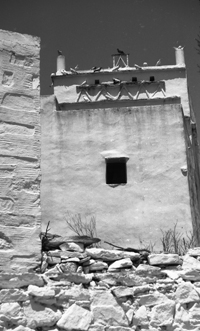 Tinos-515652-2002-019