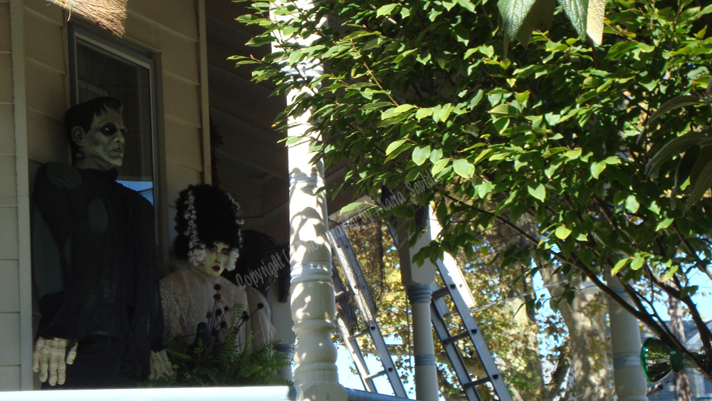 Halloween in Cape May, NJ