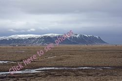 Click here to see photographs of the Eyrarbakki - Flói Nature Reserve