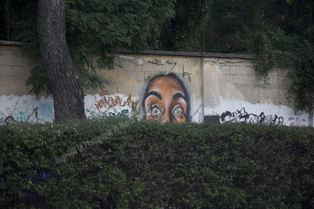 Caserta, Italy 2015