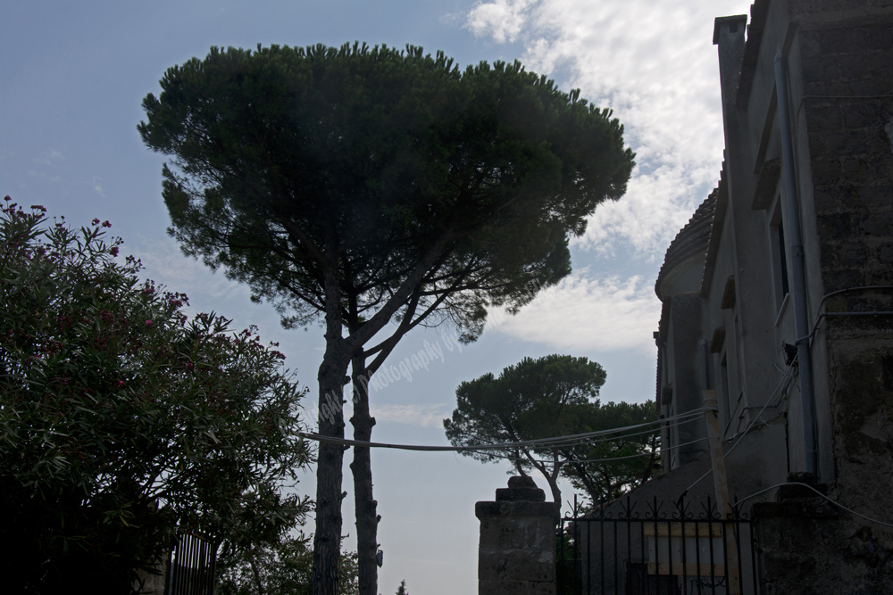 Casertavecchia, Italy 2015