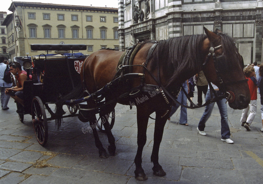 Florence, Tuscany Region, Italy