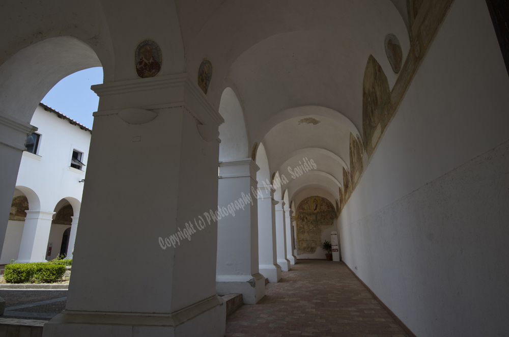 Montecorvino-Pugliano, Italy 2015-0963