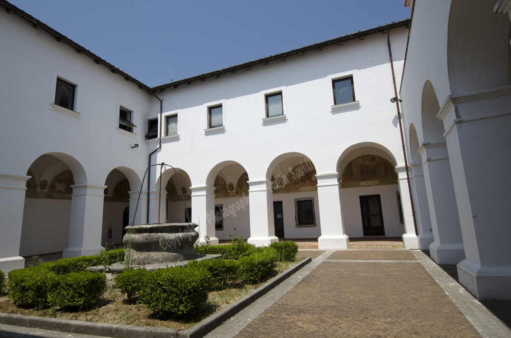 Montecorvino-Pugliano, Italy 2015-0963