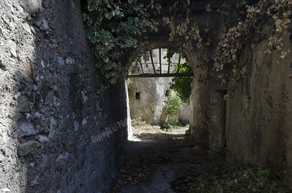 Montecorvino-Pugliano, Italy 2015-0963