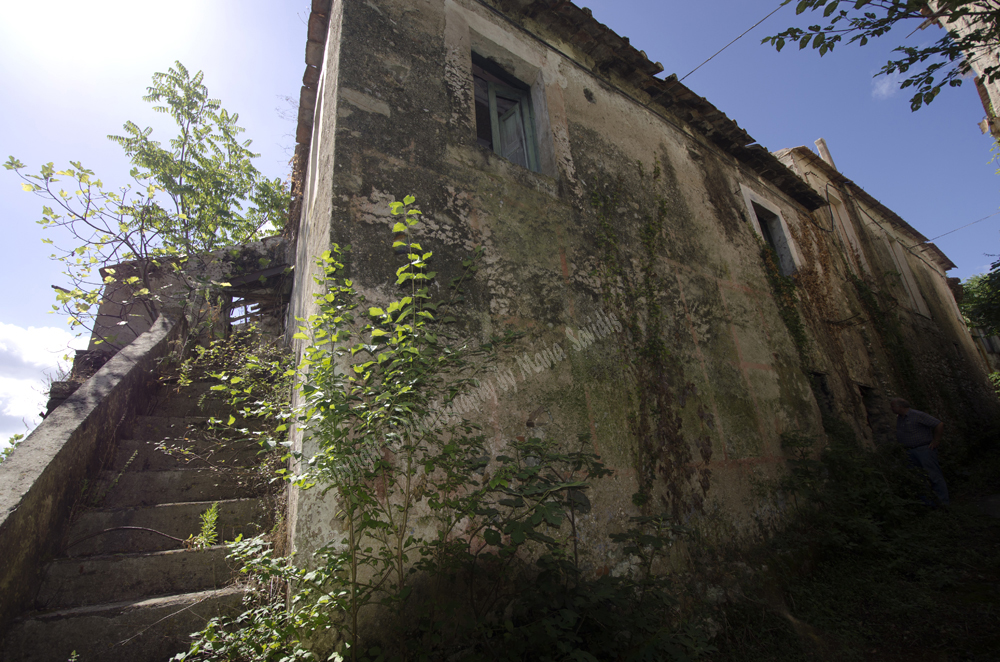 Montecorvino-Pugliano, Italy 2015-0963