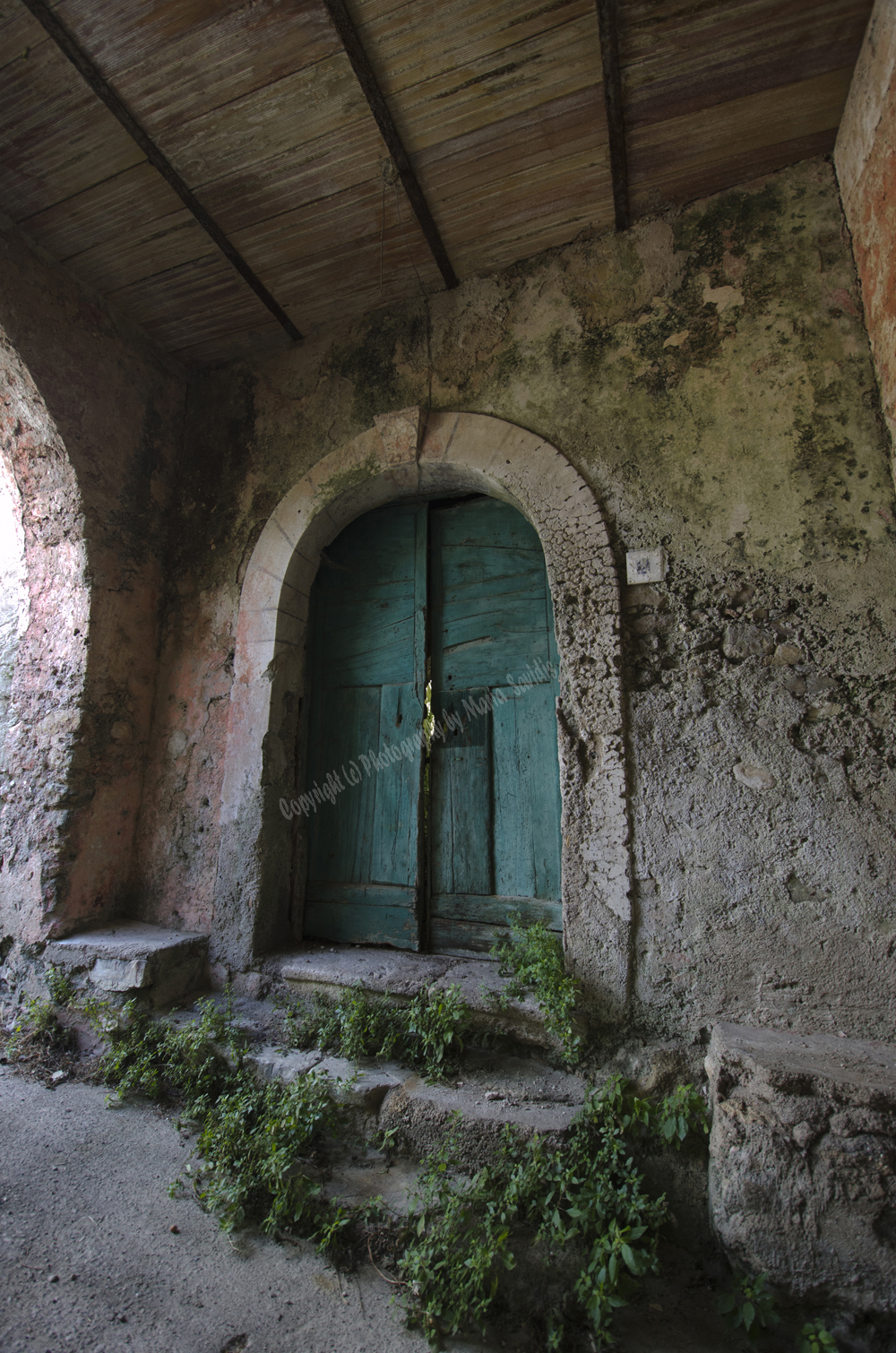 Montecorvino-Pugliano, Italy 2015-0963