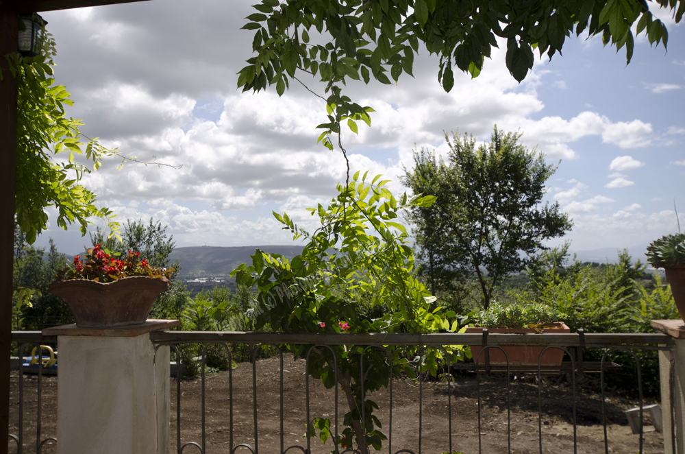 Montecorvino-Pugliano, Italy 2015-0963