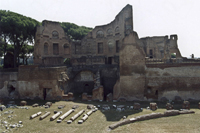 Hippodrome, Palitine Hill,  Rome, Italy 3749