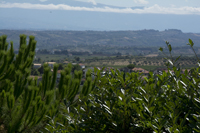 Sant Angelo, Pescara Province, Abruzzo Region, Italy 2015-5654