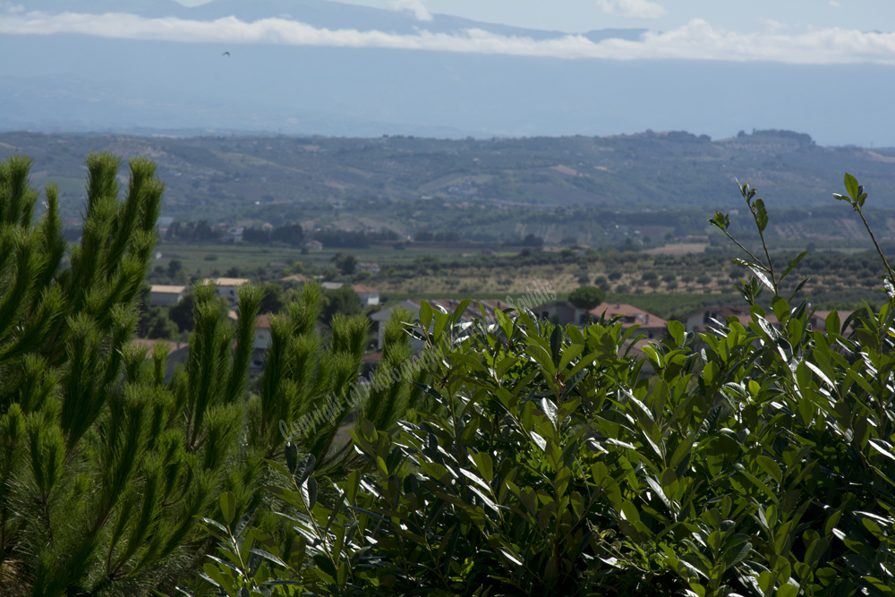 Sant Angelo, Pescara Province, Abruzzo Region