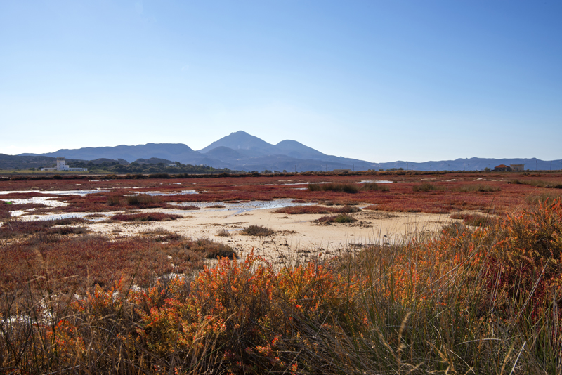 End of Season, Autumns Beautiful ColorsMilos, South Aegean, Greece 2021